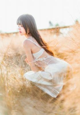 借种全集