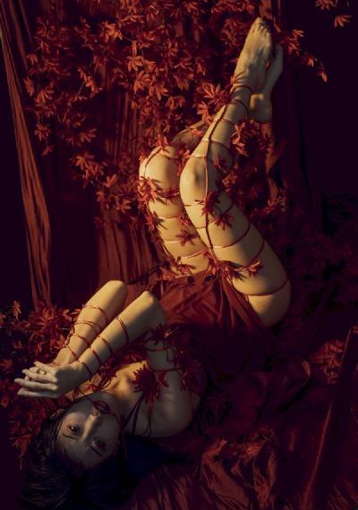 花房姑娘免费大全