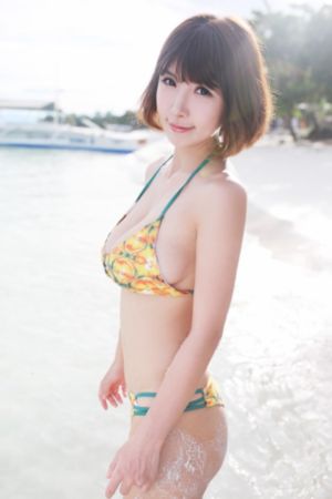 长月烬明全集免费观看