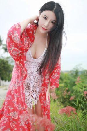 新游记第一季全集免费观看高清