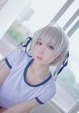 红色骆驼